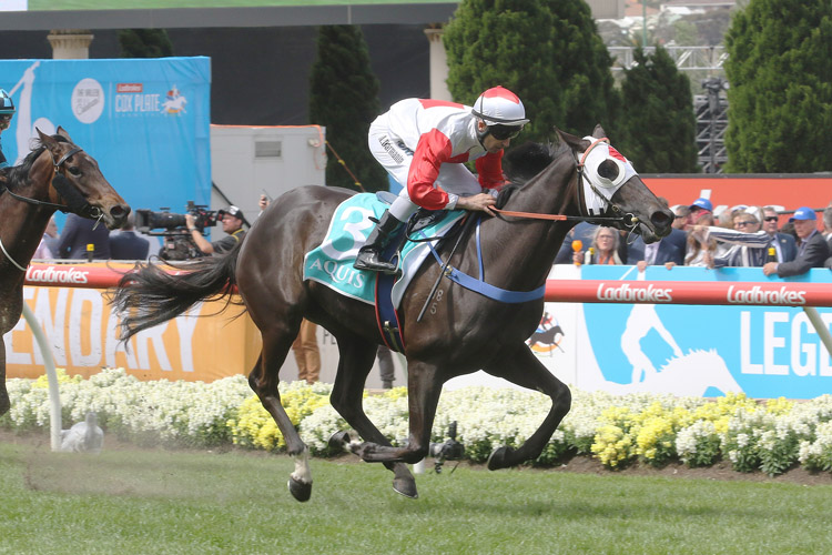 Mystic Journey winning the Aquis Farm Fillies Classic