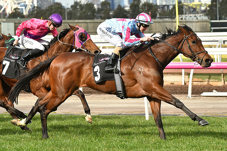 Naantali winning the Vrc Recognition Hcp