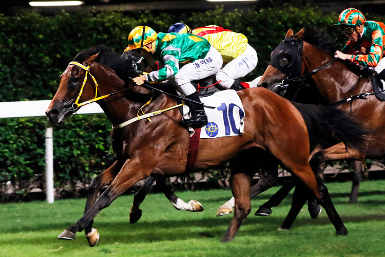 Namjong Plus winning the SWEET ORANGE HANDICAP Namjong Plus winning the SWEET ORANGE HANDICAP