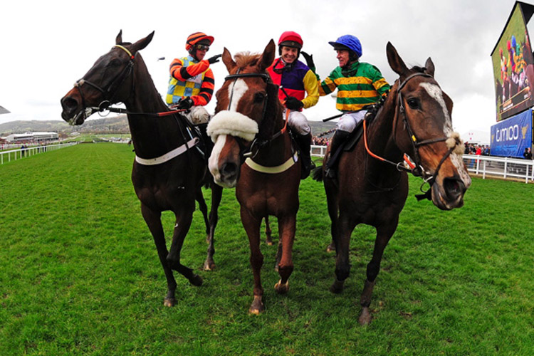 Native River winning the Timico Cheltenham Gold Cup Chase (Grade 1)