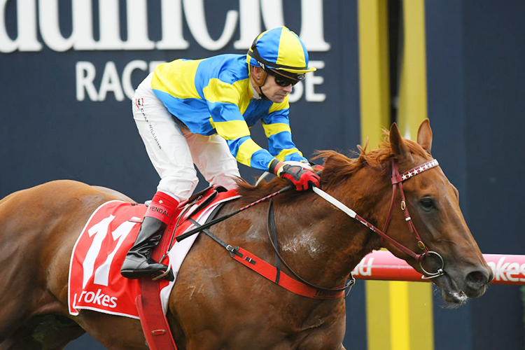 NATIVE SOLDIER winning the McNeil Stakes during Memsie Stakes Day Melbourne Racing at Caulfield in Melbourne, Australia.