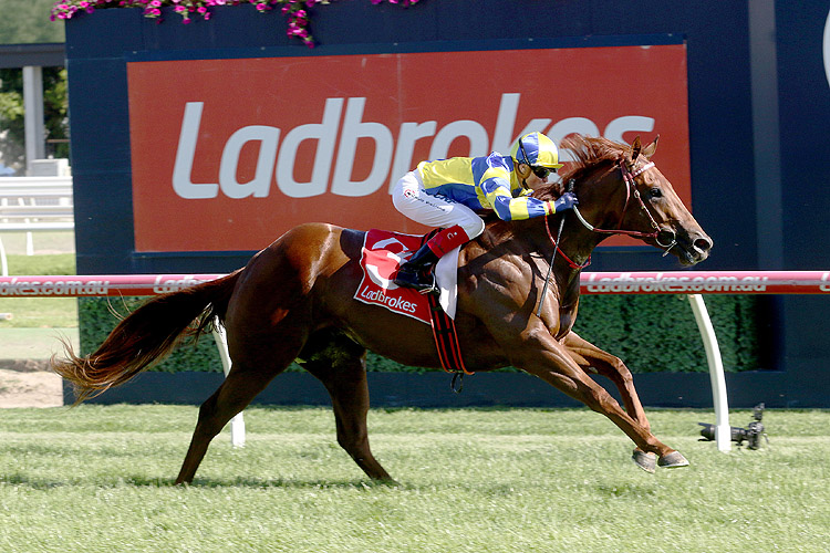 Native Soldier winning the Ladbrokes Christmas Stakes