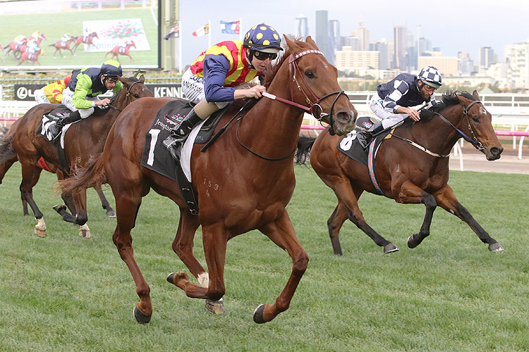 Nature Strip winning the Creswick Stakes Nature Strip winning the Creswick Stakes