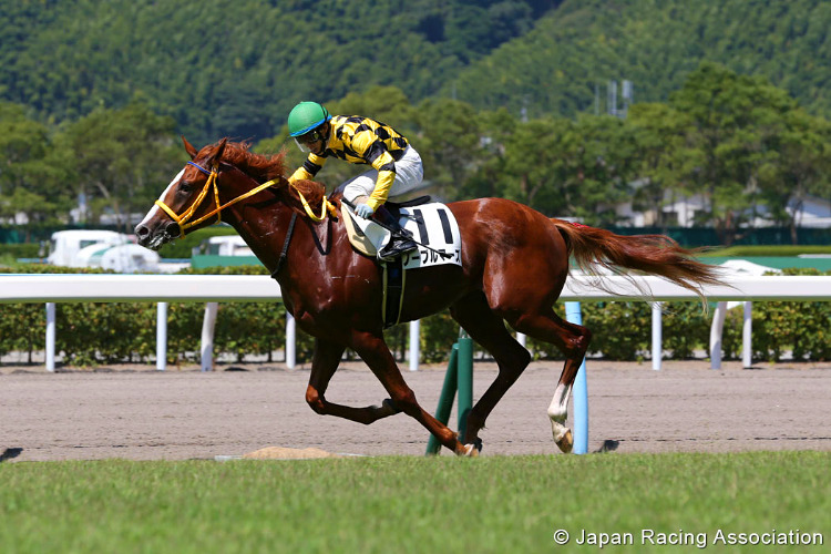 NOBLE MARS running in the Orion Stakes at Hanshin in Japan.