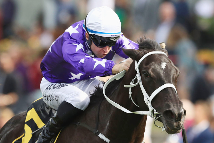 NOIRE winning the Schweppes Shannon Stakes