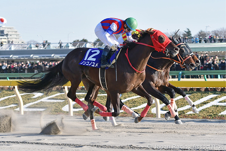 NONKONO YUME winning the February Stakes in Tokyo, Japan.