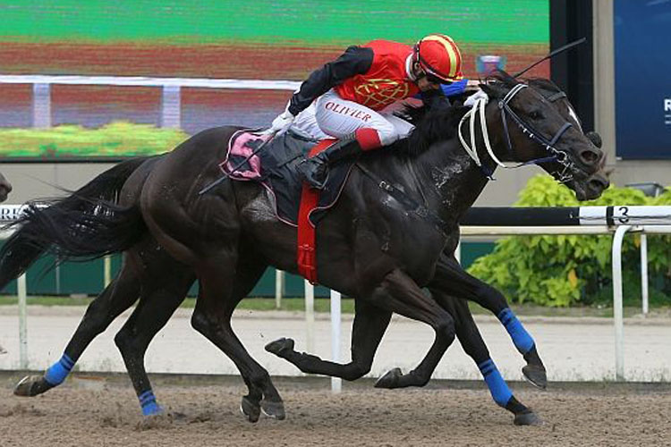 Nowyousee winning the KRANJI STAKES B