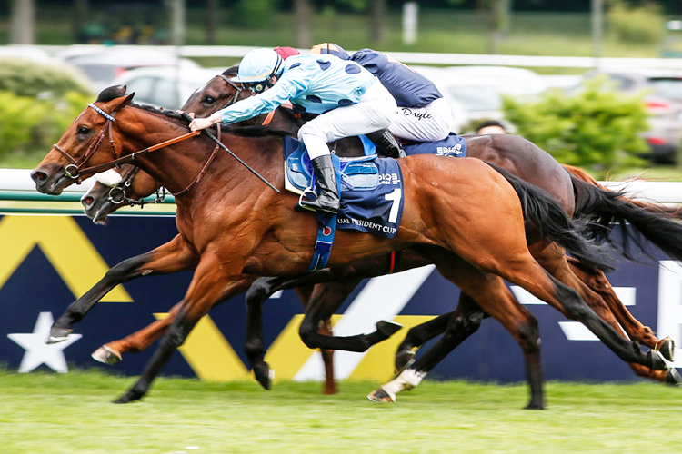 OLMEDO winning the Emirates Poule d'Essai des Poulains at Hippodrome de Longchamp in Paris, France.