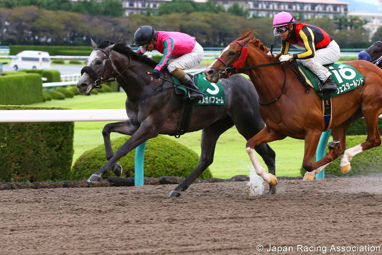 OMEGA PERFUME winning the Sirius Stakes at Hanshin in Japan. OMEGA PERFUME winning the Sirius Stakes at Hanshin in Japan.