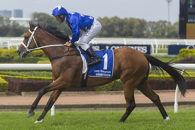 One Foot In Heaven running in the Neville Sellwood Stakes One Foot In Heaven running in the Neville Sellwood Stakes