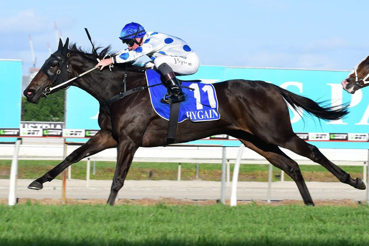 Oregon's Day winning the A.D. Hollindale Stakes Oregon's Day winning the A.D. Hollindale Stakes