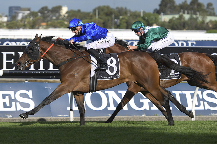 Organza could see a good day for Godolphin