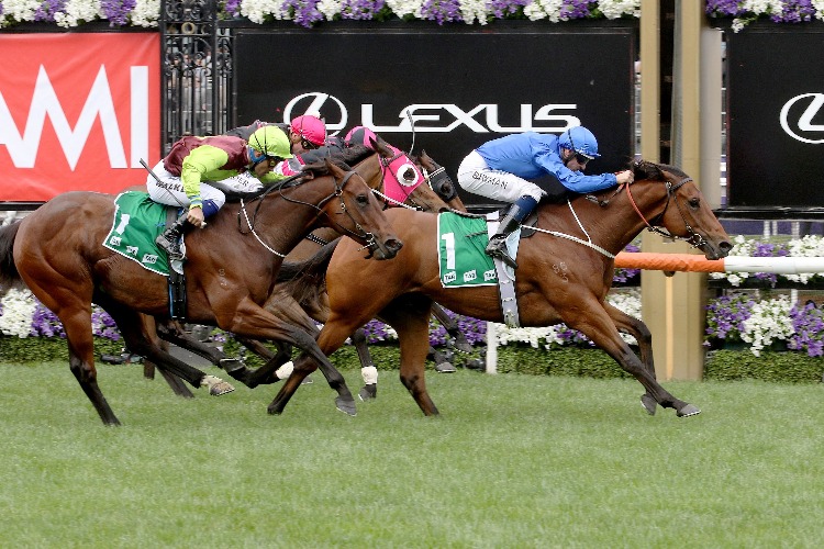 OSBORNE BULLS winning the The Tab Stakes