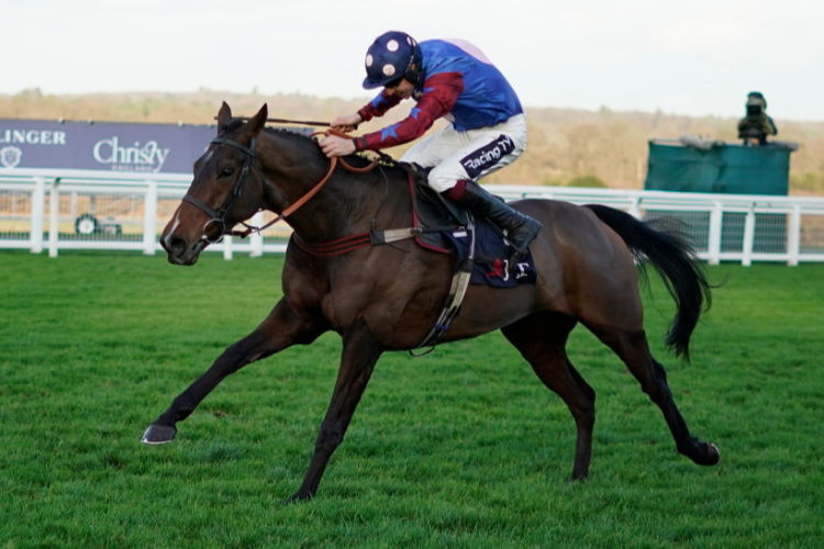 PAISLEY PARK winning the JLT Hurdle Race at Ascot in Ascot, England.