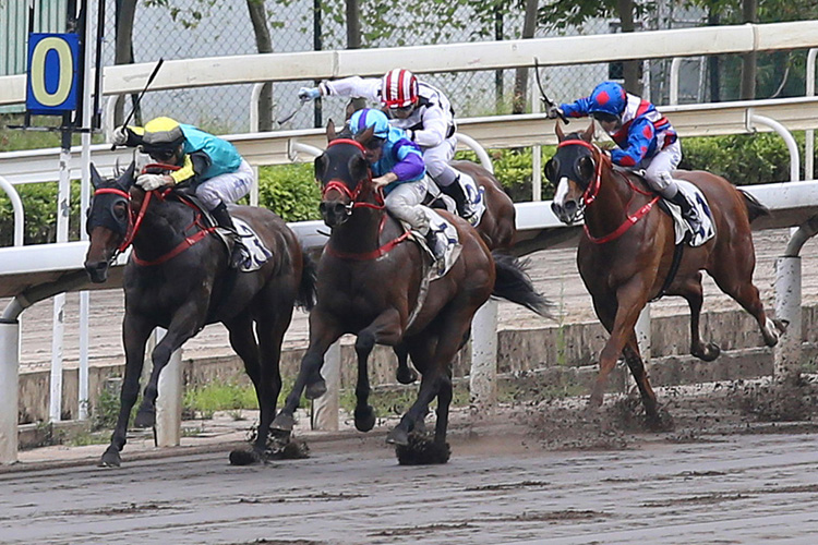 Patch Baby winning the LAI CHI CHONG HANDICAP Patch Baby winning the LAI CHI CHONG HANDICAP