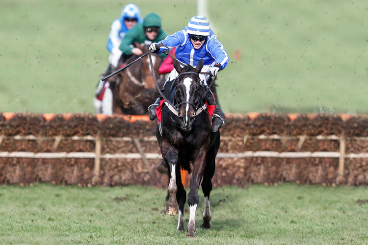 PENHILL winning the Sun Bets Stayers'Hurdle Race in Cheltenham, England.