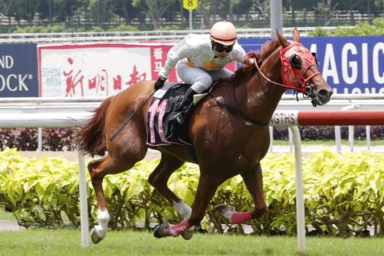 Peregrine Falcon winning the COUNTOFMONTECRISTO 2017 STAKES CLASS 5