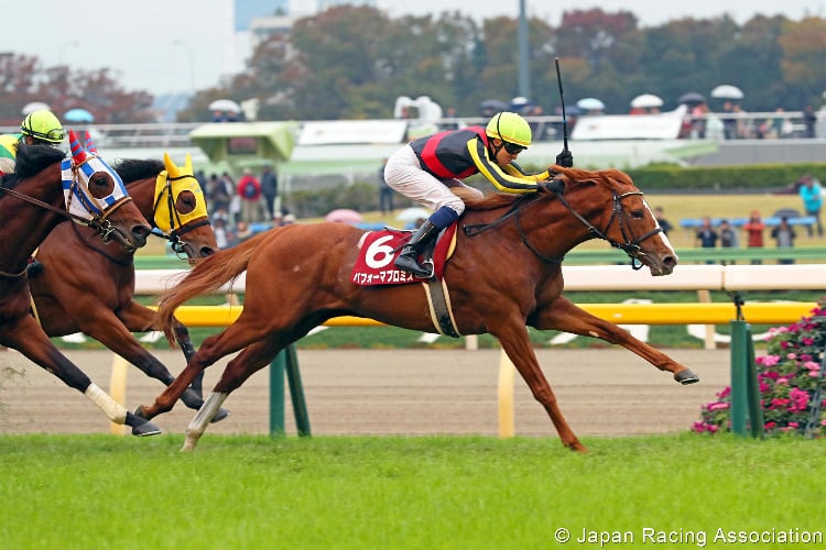 PERFORM A PROMISE winning the Copa Republica Argentina Cup at Tokyo in Japan.
