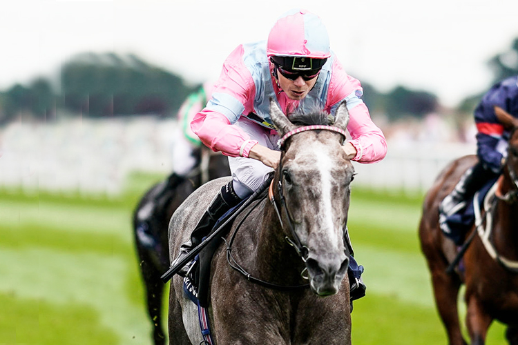 PHOENIX OF SPAIN winning the Tattersalls Acomb Stakes in York, United Kingdom.