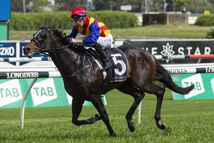 Pierata winning the Camera House Sydney Stakes