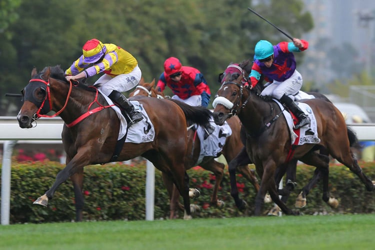 Ping Hai Star winning the THE BMW HONG KONG DERBY 2018