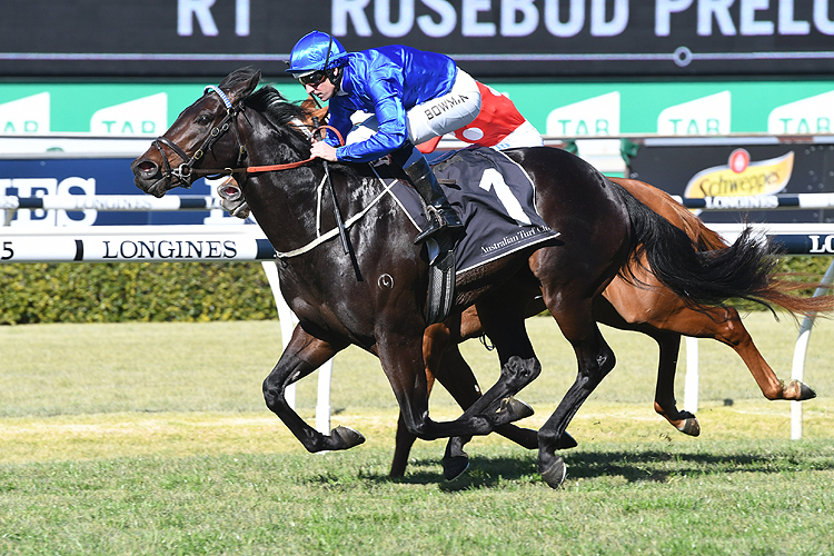 Plague Stone winning the Rosebud Prelude