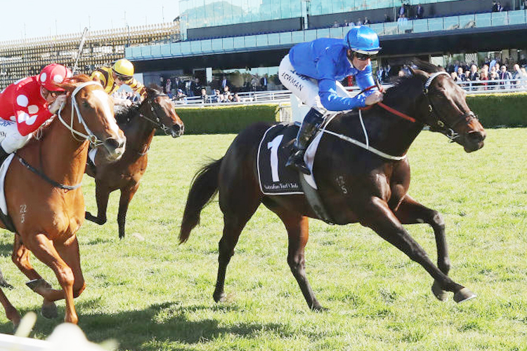 Plague Stone winning Rosebud Prelude during Sydney Racing at Royal Randwick in Sydney, Australia.