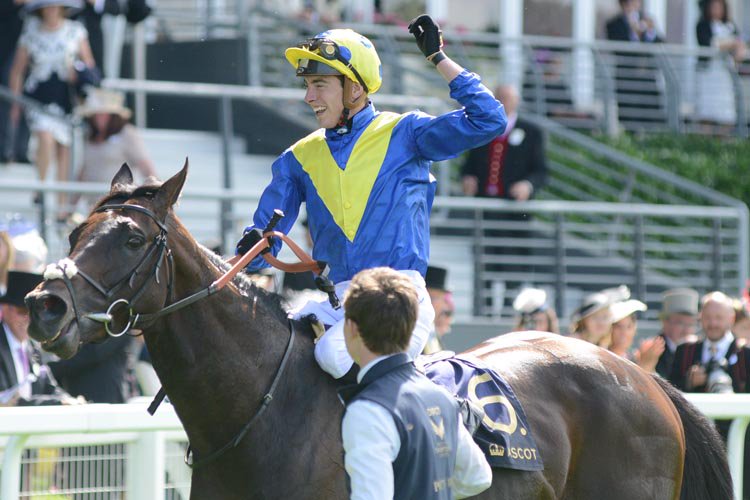 Poet's Word returns to scale after winning The Prince Of Wales's Stakes