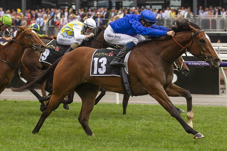 Pohutukawa winning the Jim Beam Black Stakes