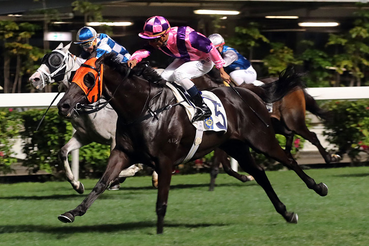 Pretty Bauhinia winning the THE INDIAN RECREATION CLUB CHALLENGE CUP (HANDICAP Pretty Bauhinia winning the THE INDIAN RECREATION CLUB CHALLENGE CUP (HANDICAP