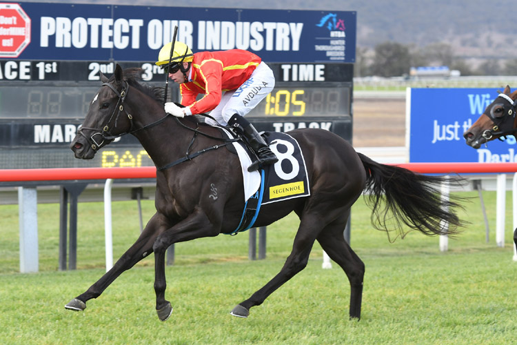 Pretty In Pink winning the Segenhoe Stud Woodlands Stakes