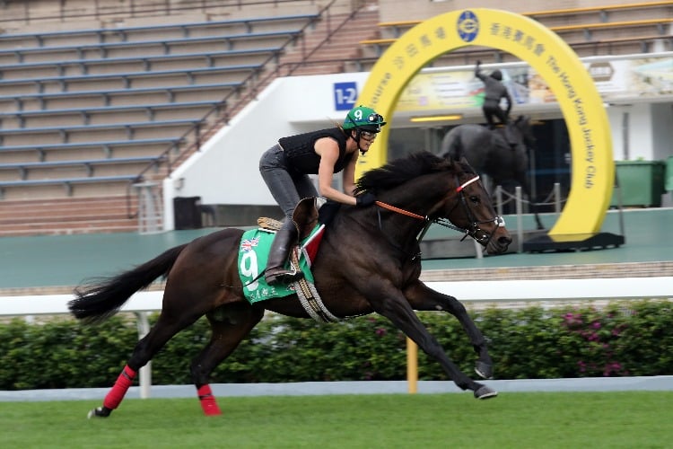 PRINCE OF ARRAN running in the trackwork session for Longines Hong Kong Vase in Hong Kong.
