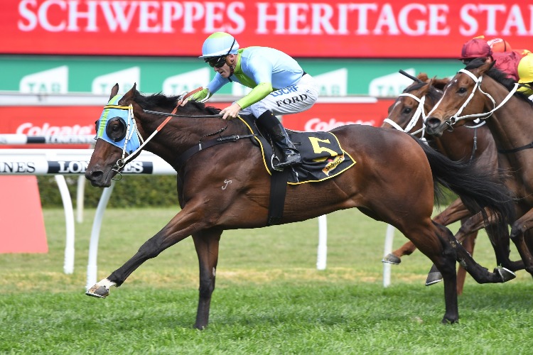 RAGGED RASCAL winning the Schweppes Heritage Stakes.