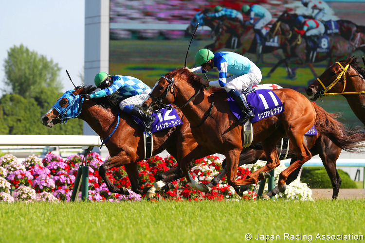 RAINBOW LINE winning the Tenno Sho (Spring) Stakes at Kyoto in Japan. RAINBOW LINE winning the Tenno Sho (Spring) Stakes at Kyoto in Japan.