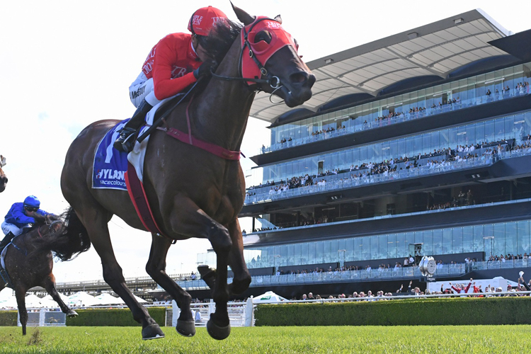 Redzel wins the Challenge Stakes