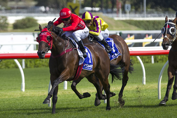Redzel Redzel