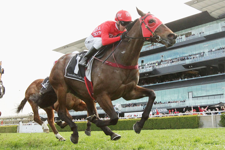 REDZEL winning the Concorde Stakes during Chelmsford Stakes Day Sydney Racing at Royal Randwick in Sydney, Australia.