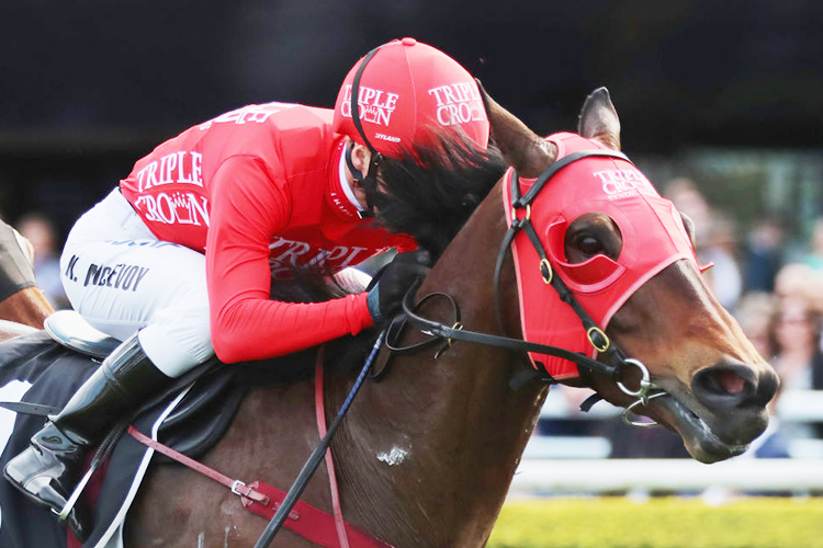 REDZEL winning the Concorde Stakes during Chelmsford Stakes Day Sydney Racing at Royal Randwick in Sydney, Australia.