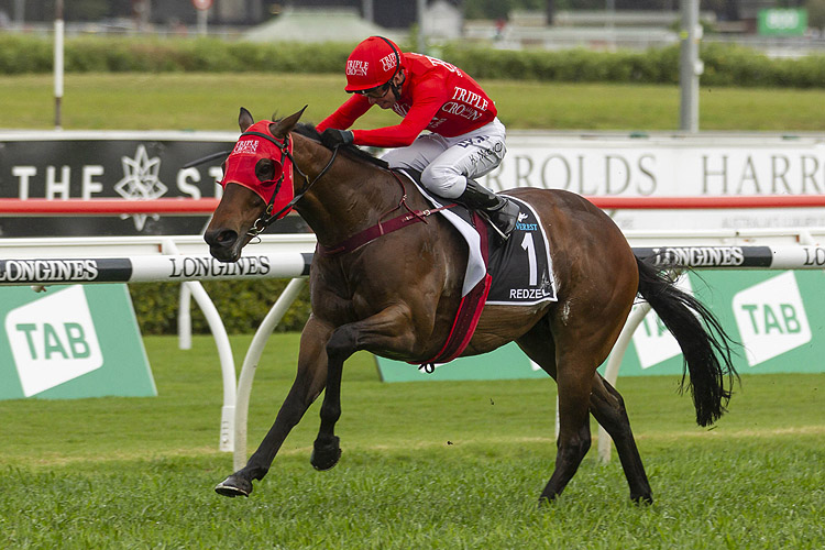 Redzel winning the The Tab Everest