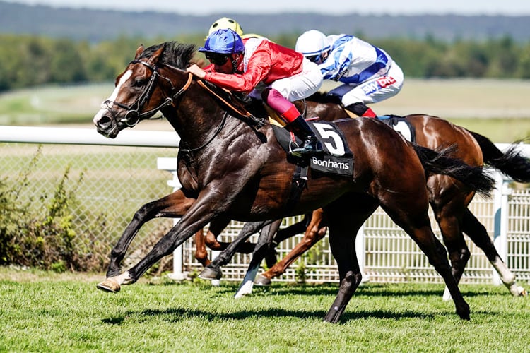 REGAL REALITY winning the Bonhams Thoroughbred Stakes at Goodwood in Chichester, United Kingdom.