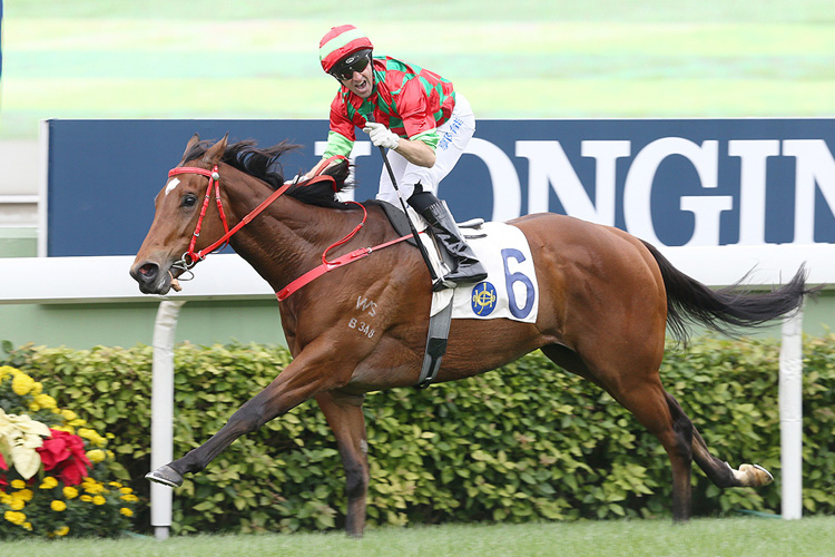 Regency Legend impresses on his Sha Tin debut. Regency Legend impresses on his Sha Tin debut.