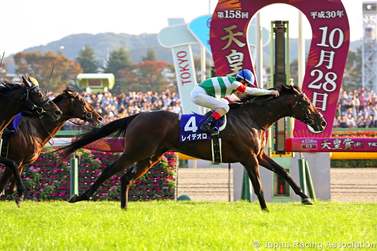 REY DE ORO winning the Tenno Sho at Tokyo in Japan.