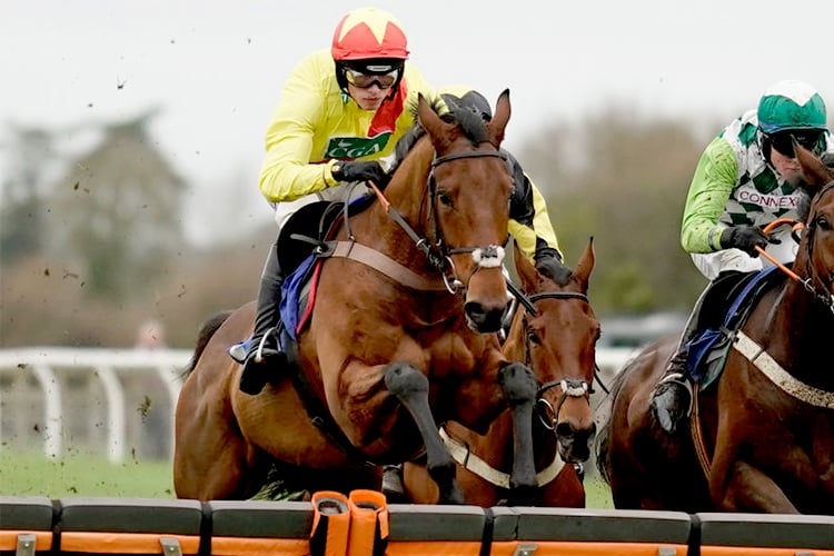 National Hunt 'Novices' Handicap Hurdle,