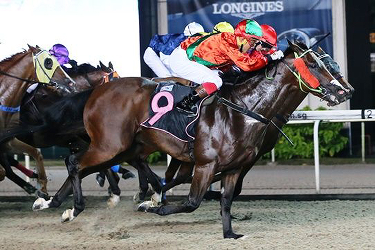 Rich Fortune winning the KRANJI STAKES D