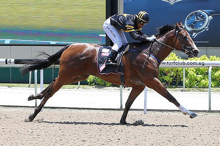 Richebourg winning the GILT COMPLEX 2017 STAKES CLASS 4 NON PREMIER