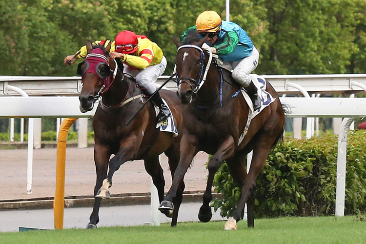 Rise High winning the The Sha Tin Mile Trophy (C1) Rise High winning the The Sha Tin Mile Trophy (C1)