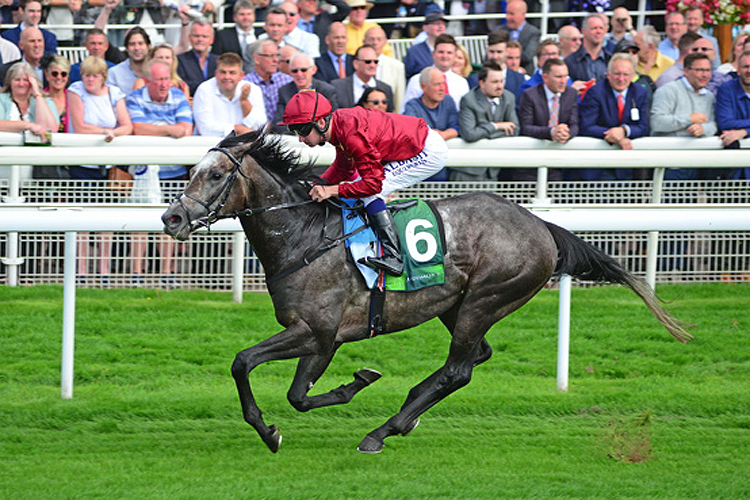 Roaring Lion Roaring Lion