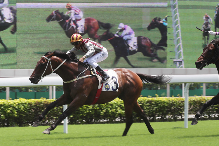 Romantic Touch winning the The Kwangtung Cup (C1) Romantic Touch winning the The Kwangtung Cup (C1)
