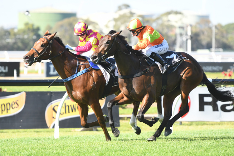 Ronstar winning the Abercorn Hall Of Fame Hcp Ronstar winning the Abercorn Hall Of Fame Hcp