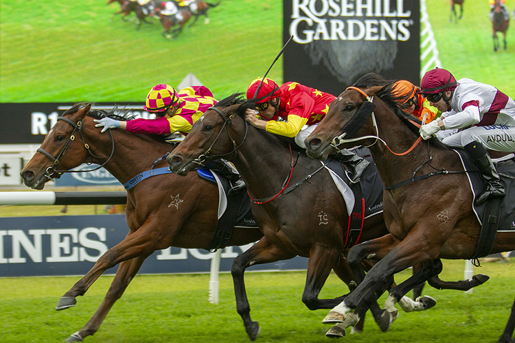 Ronstar winning the Spring Carnival On Sale Monday